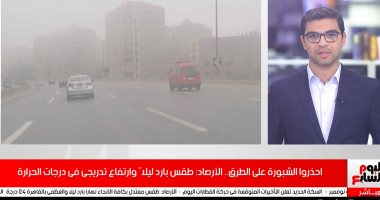 فيديو.. الأرصاد: طقس بارد ليلاً وارتفاع تدريجى فى درجات الحرارة