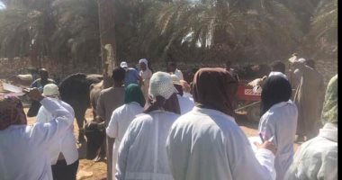 تعرف على جهود القوافل البيطرية لوزارة الزراعة فى قرى "حياة كريمة" بأسوان