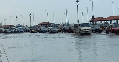 "الصرف الصحى بالإسكندرية" عن نوة المكنسة: الطاقة الاستيعابية للشبكات 15.2 مليون متر مكعب/يوم.. استقبلنا الأمطار بنسبة 30% فقط من السعة المتبقية.. ونشر السيارات والأجهزة فى 7 مناطق لم تصلها الخدمة