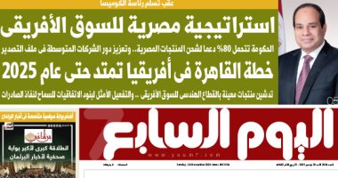 اليوم السابع: استراتيجية مصرية للسوق الأفريقي 