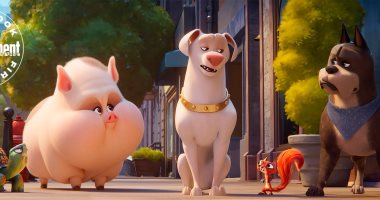 DC League of Super-Pets يحقق 203 مليون دولار عالميا منذ يوليو الماضى