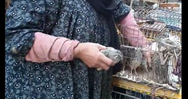 أشهر سوق للحمام فى الشرقية.. الجوز بـ50 جنيها والسمان بـ22 والأرانب بـ55.. لايف