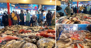 "مولد الفسفور" بالغردقة.. انخفاض فى أسعار الأسماك بحلقة السقالة.. الحريت يسجل 40 جنيها والدراك 100 والبهار 90 والقاصة 60.. تاجر أسماك يتحدث عن الرحلات السياحية للحلقة.. وفؤاد صالح: إقبال كبير على الشراء
