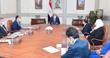 الرئيس السيسي يوجه بالاستمرار فى جهود تطوير شركات قطاع الأعمال العام