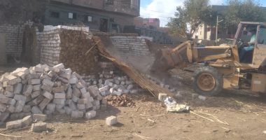 إزالة 3 حالات تعد بالبناء على أملاك الدولة بالمنيا