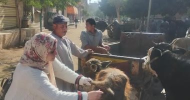 حياة كريمة.. فحص 397 رأس ماشية و 3650 طائرا فى قافلة بيطرية بزفتى الغربية