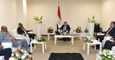 وزير الإنتاج الحربى يبحث مع رئيس التصنيع الحربى السودانى سبل تعزيز التعاون المشترك