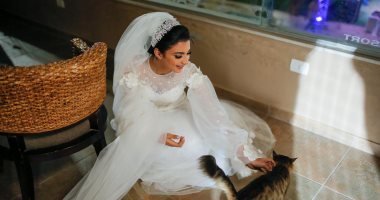 سابت فرحها عشان تأكل القطة.. صاحبة الصورة الشهيرة: لما شفتها نسيت إنى عروسة