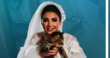 الرحمة قبل الفرحة.. عروسة سابت فرحها لإطعام قطة "فيديو"