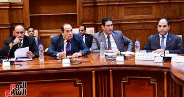 وزيرة الصناعة: نسعى لإحلال التوك توك بوسيلة نقل جماعى آمنة وحضارية