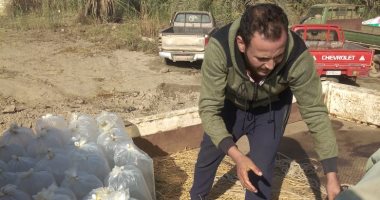 ضبط سيارة محملة بـ3500 وحدة زريعة أسماك بكفر الشيخ.. صور