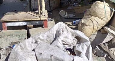 تحرير 271 محضر مخالفات بيئية بالإسكندرية خلال شهر.. اعرف التفاصيل