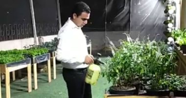 بدلا من الكراكيب.. أزرع سطحك خضراوات وفاكهة.. مبادرة لتحويل أسطح المنازل لأشجار مثمرة