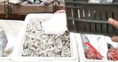 السمكة العجيبة بـ"حلقة الزقازيق" الكيلو بـ70 جنيها.. تعرف على الأسعار.. لايف