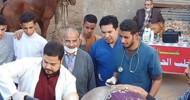 حياة كريمة.. تنظيم قافلة بيطرية مجانية بقرية ريفا بمركز أسيوط