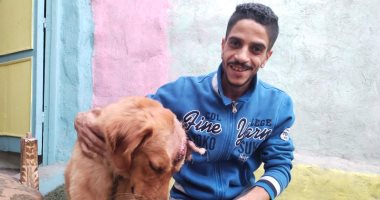 "الاسم كلب والفعل أسد".. "روبن" دافع عن صاحبه فى واقعة تعدى أشخاص على مزرعته ببنها وتلقى ضربة ساطور بدلا منه.. وعلى سعد: طول عمره هادئ لكن لما شاف الاعتداء علينا تحول إلى أسد.. وهعالجه مهما كلفنى الأمر