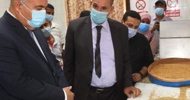 "عايزينها تبقى خضرا".. زراعة 100 ألف فدان من القمح بقنا فى الموسم الجديد 