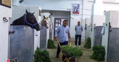 شاهد أقدم مستشفى بيطرى لعلاج الحمير والأحصنة فى مصر