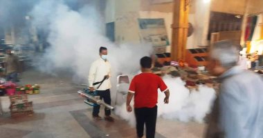تكثيف حملات رش المبيدات لمواجهة الحشرات الطائرة بأسوان