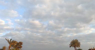 طقس المنوفية الآن .. بروده فى الجو وغيوم فى السماء.. لايف
