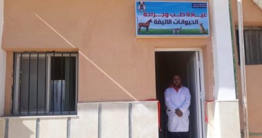 افتتاح أول عيادة متخصصة لعلاج الحيوانات الأليفة وطيور الزينة بالوادي الجديد