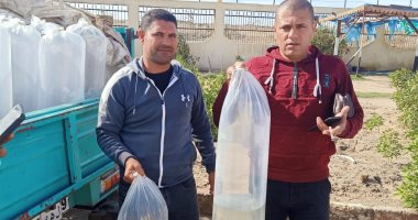 ضبط سيارتين محملتين بـ12700 وحدة زريعة وإعادة ضخها ببحيرة البرلس.. صور