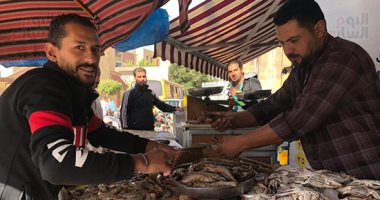 املا تلاجتك بـ200 جنيه.. المنصورة تستقبل محبى أسماك عزبة البرج بأشهى الأنواع (فيديو وصور)