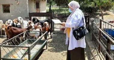 بيطرى الشرقية يجرى الترصد الوبائى لـ 613 منزل في 34 قرية خلال شهر
