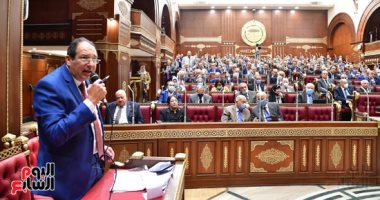 مجلس الشيوخ يوافق على إلزام الحكومة ببناء قاعدة بيانات خاصة بالمسنين