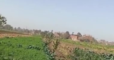 طقس المنوفية غير مستقر وأجواء باردة.. لايف