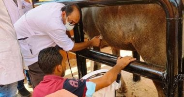 مديرية الطب البيطرى بالشرقية تعلن كيفية مواجهة الأمراض فى الحيوانات