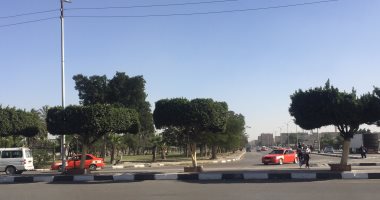 عاصفة ترابية تضرب الإسماعيلية ورفع حالة الطوارئ لمواجهة الطقس السيئ.. لايف
