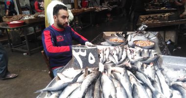 موسم الفوارغ يغزو أسواق السمك بدمياط.. الكيلو يبدأ من 30 جنيها (فيديو)