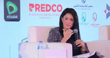 رانيا المشاط: 4.5مليار دولار تمويلات تنموية للقطاع الخاص خلال عامي 2020 و 2021