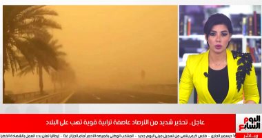 فيديو.. الأرصاد تناشد المواطنين غلق النوافذ وتحذر أصحاب الأمراض الصدرية من الخروج
