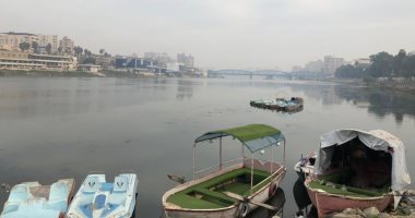 طقس بارد متقلب يحجب الرؤية بالدقهلية.. وغيوم كثيفة بسماء المنصورة.. لايف