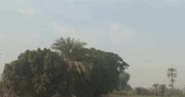 الشتاء وصل.. أجواء باردة وغائمة جزئيا فى قنا.. لايف