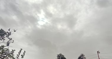 رياح مثيرة للرمال والأتربة وسماء ملبدة بالغيوم مع تراجع الشبورة المائية بالشرقية.. لايف