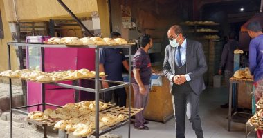 حملات مكثفة على الأسواق والمخابز بالأقصر وضبط 400 فلتر سيارات مجهول المصدر