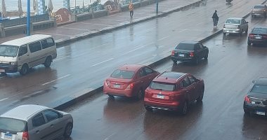 أمطار غزيرة على الإسكندرية ورياح تصل حد العاصفة.. سقوط لافتات والموج يضرب سور الكورنيش.. وضع بلوكات خرسانية لحماية الشواطئ.. والمحافظ يعلن تعطيل الدراسة.. وتحذيرات من لافتات الكورنيش وسرعة قيادة السيارات