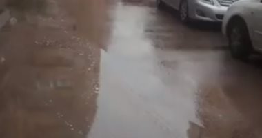 أمطار غزيرة فى البحيرة وطقس شتوى شديد البرودة فى أنحاء المحافظة.. لايف