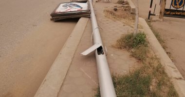 سقوط عمود إنارة وشجرة بسبب سوء الأحوال الجوية فى الجيزة