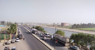طقس بارد ورياح مثيرة للأتربة تضرب القليوبية.. والمحافظة ترفع الطوارئ.. لايف