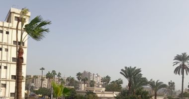 طقس كفر الشيخ .. رياح شديدة وتوقف حركة الصيد .. لايف
