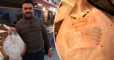 "السمكة الضاحكة".. بديل الفيتامينات المقوية للعظام.. بائع سمك بورسعيد: اللى بياكلها بيطلبها على طول.. أحمد: شهرتها مسمار الضهر لفوائدها الكثيرة والكيلو منها بـ60 جنيها.. والسمكة بتضحك لما صوابعك تمشى على بطنها