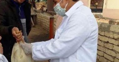 تحصين 190 ألفا و491 طائرا ضد مرض أنفلونزا الطيور بالشرقية ..صور