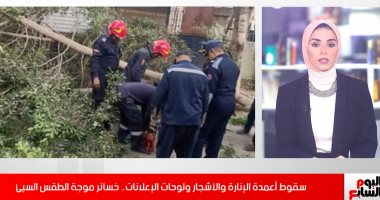 فيديو.. سقوط أعمدة الإنارة والأشجار ولوحات الإعلانات..خسائر موجة الطقس السيئ