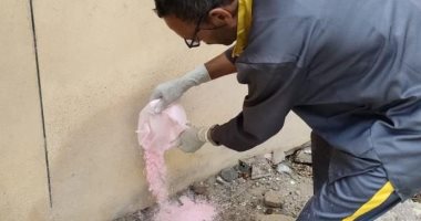 البحر الأحمر تكثف أعمال المكافحة المتكاملة للحشرات والترصد بالمدن 