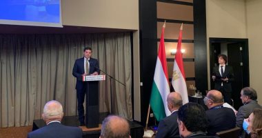 رئيس المنطقة الاقتصادية يلتقى مسئولى البنك المجرى للتصدير والاستيراد EXIM 