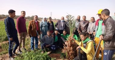 بدء تنفيذ خط إنتاج الحرير  الطبيعى بمدرسة موط الزراعية بالوادى الجديد